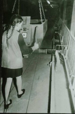 Fotografie: Fütterungstechnik, Mastschwein, Kraftfutterautomat, Dosiereinrichtung