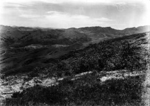 Punaland : Berglandschaft mit Vegetation und Tal