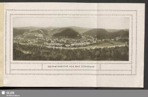 Gesamtansicht von Bad Schandau