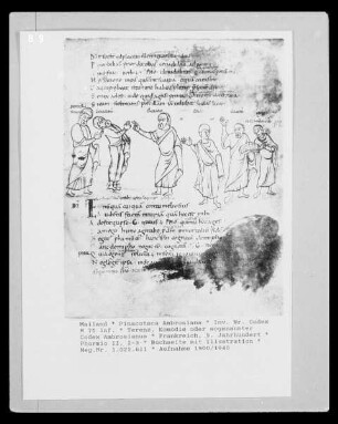 Terenz, Komödie / sogenannter Codex Ambrosianus — Phormio II, 2-3