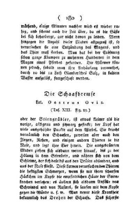 ¬Die¬ Schafbremse : Lat. Oestrus Ovis ; (Taf. XIII, Fig. 83)
