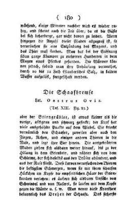 ¬Die¬ Schafbremse : Lat. Oestrus Ovis ; (Taf. XIII, Fig. 83)