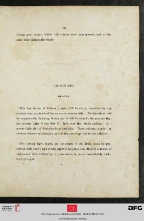 Lesson XIV. Grapes