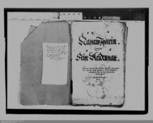 Nassau-Idstein ./. Stift Bleidenstadt: Besitzrechte am Abtswald