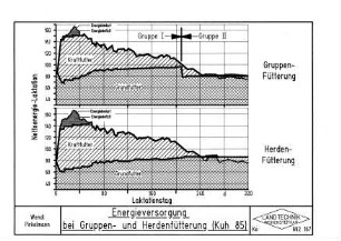 Energieversorgung bei Gruppen- und Herdenfütterung (Kuh 85)