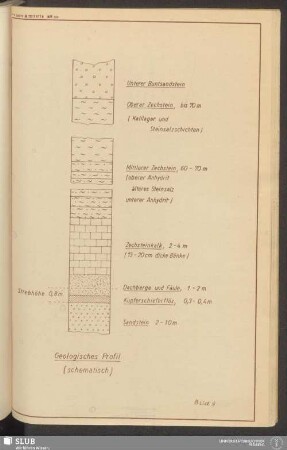 Bild 9 Geologisches Profil (schematisch)