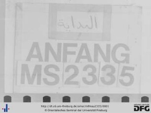 MF Mau 2335