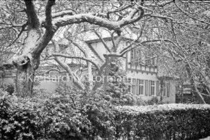Schillerstraße: Stadtvilla: Vorgarten mit Hecke und Bäumen: Winter: 28. November 1985