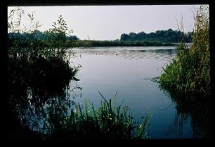 Spree b. Rahnsdorf 6.10.73.