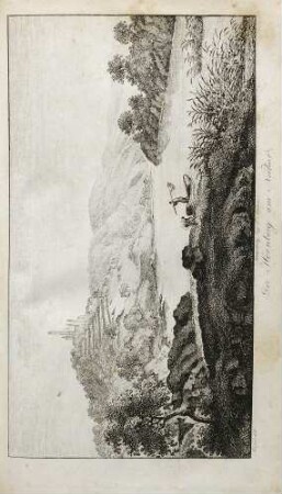 Hornberg am Neckar