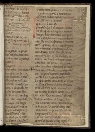 Fragment 1b (Hinterspiegel)
