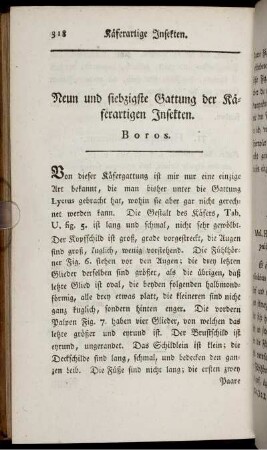 Neun und siebzigste Gattung der Käferartigen Insekten. Boros.