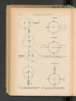 Die monatliche Bewegung der Erde um den Schwerpunkt Erde-Mond