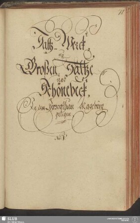 Saltz-Werck, zu Großen-Saltze und Schönebeck, In dem Herzogthum Magdeburg gelegen