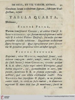 Tabula quarta