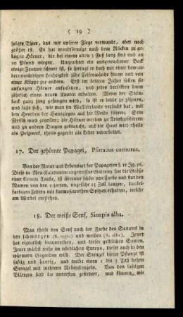 18. Der weiße Senf, Sinapis alba.