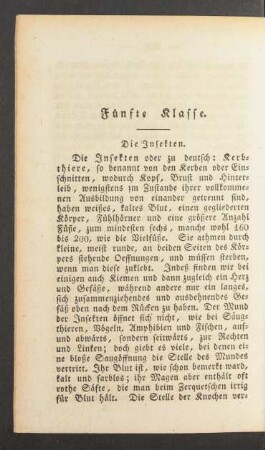 Fünfte Klasse. Die Insekten.