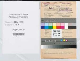 Entnazifizierung Peter Heyer, geb. 01.05.1897 (Betriebskaufmann)