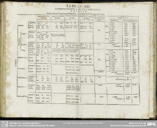 Tabula XIII. Coniugationum Barttonorum Vocis Passivae