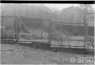 Mauerfall, Potsdam, Klein Glienicke / Griebnitzsee, Grenzanlage.