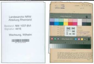 Entnazifizierung Wilhelm Wechsung , geb. 10.04.1906 (Angestellter)