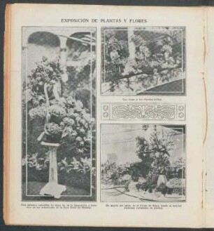 Exposición de plantas y flores - [Ilustración]