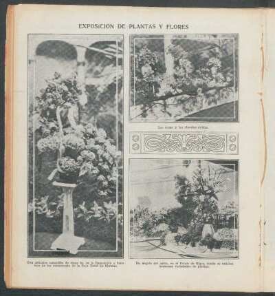 Exposición de plantas y flores - [Ilustración]