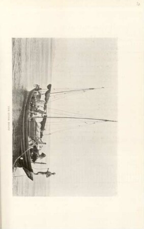 The diver below