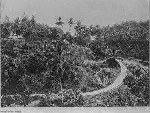 Portland Parish : Blick auf eine Straße und einen Fluss am rechten Bildrand, der in das karibische Meer fließt