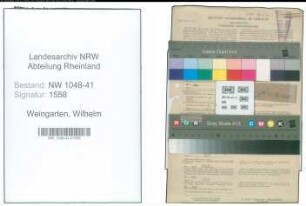 Entnazifizierung Wilhelm Weingarten , geb. 21.10.1888 (Einschaler)