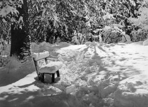 Winterbilder. Tiefverschneite Bank vor Bäumen