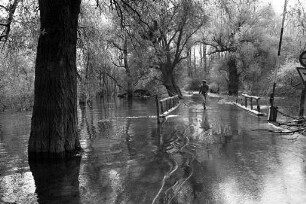 Hochwasser am Altrhein