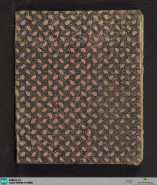 Introductio ad philosophiam - Cod. Ettenheim-Münster 260