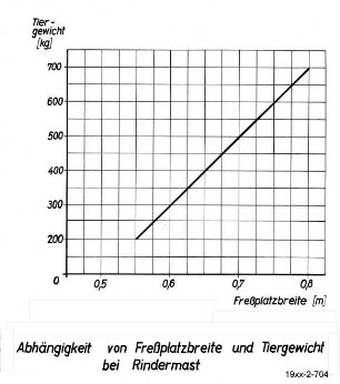 Abhängigkeit von Freßplatzbreite und Tiergewicht bei Rindermast