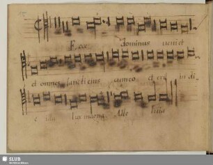 Maistre Gosse: Ecce Dominus