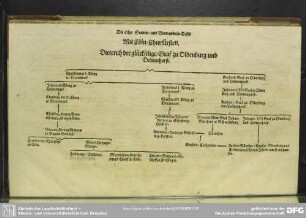 Die achte Stamm- und Verwandnis-Tafel. Mit Cöln-Churfürsten