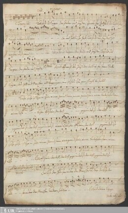 Ms. Ff. Mus. 49 - Festo Nativit. Jesu : 2. clarin., 2. violino, 2. viola, 4. voc. cum continuo