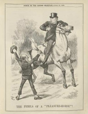 The perils of a "pleasure-horse"!