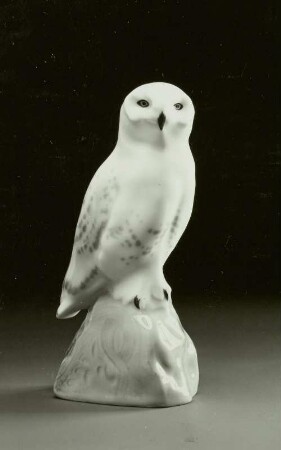 Schnee-Eule