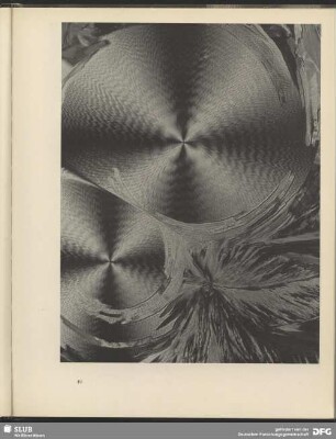 Spiralbewegung der Aspargin-Kristalle. 250:1