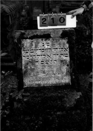 Grabstein 210