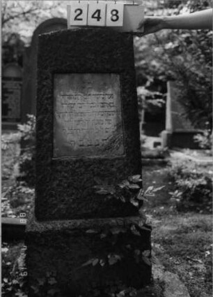 Grabstein 248 (Index: 100094478) Material: Granit, weiße Marmorplatte Zustand: verwittert mit Textverlust Maße HxBxT: 123x47x24 cm Beschreibung: konische Stele, Sockel, Segmentbogenabschluß, Schriftplatte: Grabstein 248