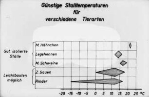 Günstige Stalltemperaturen für verschiedene Tierarten