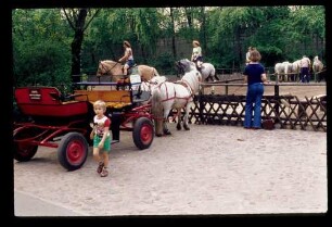 Zoo Reitplatz 5.5.77.