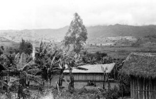 Dorf der Wanyakyusa bei Mawakalele : Blick über ein Dorf mit Gebäuden und Bananpflanzen.