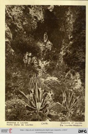 Capri – Madonne di Lourdes – Notre Dame de Lourdes – Madonna of Lourdes – Die Lourdes-Madonna