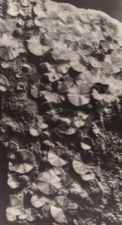"Kristallstruktur" aus der Serie "Kristalle"
