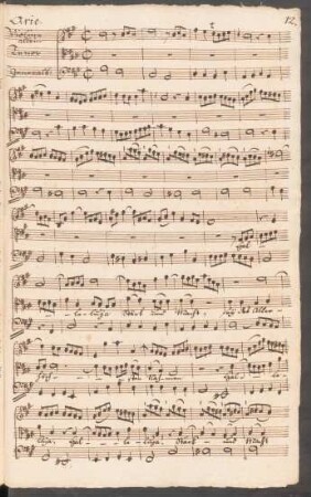 3. Aria (T): Halleluja, Stärk und Macht