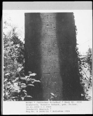 Grabstein von Rosalie Schack, geborene Tribus (gestorben 1909.01.01)