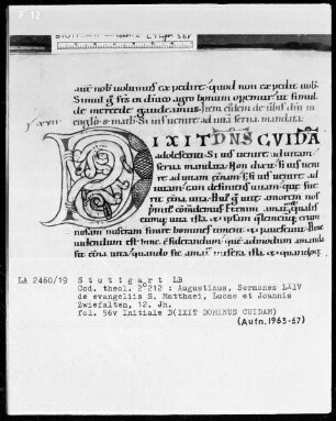Augustinus, Sermones 64 de evangeliis Sancti Matthaei, Lucae et Joannis — Initiale D(IXIT DOMINUS CUIDAM), Folio 56verso